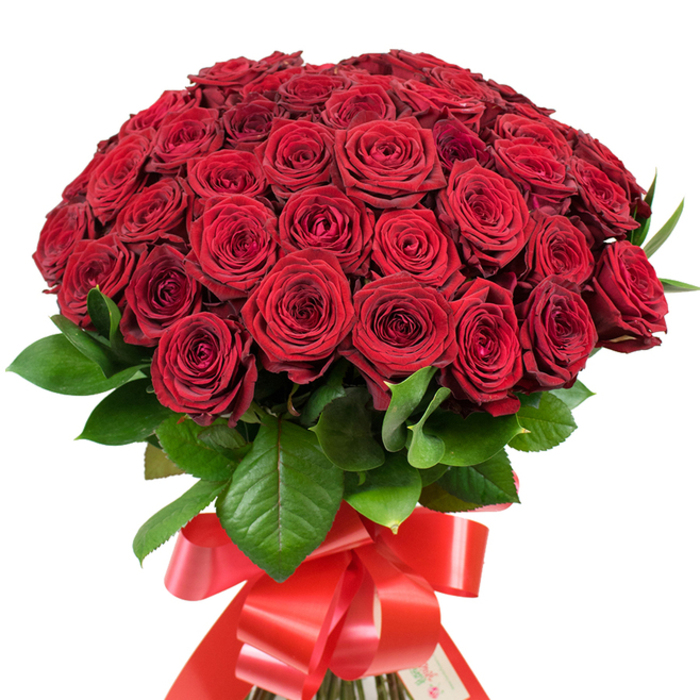 When you receive this luxurious bouquet-crafted in the heart of Mill Hill-you are met with a sensory embrace. The deep red roses, tightly clustered in a full, domed arrangement, speak in the timeless language of romance. Velvet petals form intricate labyrinths of colour, each layer catching the soft, ambient light that mirrors a walk by Mill Hill Park at sundown. The verdant, glossy green leaves that peek from beneath the blooms lend a grounded natural contrast, sturdy and vibrant. At the base, the stems are wrapped with practiced expertise in a wide, scarlet satin ribbon, tied into a lavish, multi-looped bow whose gentle sheen echoes the richness of the surrounding blooms. The entire display exudes theatre and elegance-a dramatic gesture perfect for declarations of love, wedding anniversaries, or romantic surprises. There is depth and intention in every aspect, from the careful proportion of roses to the positioning of the leaves and the fluid fall of ribbon ends, all woven together by Mill Hill's own florists to create a bouquet that feels both personal and enduring-a gift that lingers in memory long after the last petal falls.