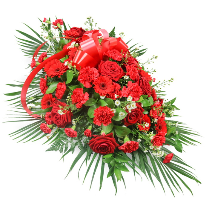A grand red funeral spray is captured in full length, resting visually against a spotless white backdrop that emphasises its rich colours and graceful outline. The arrangement is shaped like a soft teardrop, generously full in the centre and gently narrowing towards the ends, the kind of design often chosen to lie on a casket or as a focal tribute near the lectern. At its core, clusters of deep red roses dominate, their velvety petals curling outward in layered spirals that range from tight buds to fully open blooms, suggesting the many stages of a life well lived. Nestled between them are numerous red carnations, their ruffled petals giving the centre a lush, almost quilted appearance, adding depth and texture so the eye lingers over every contour. Punctuating this sea of red, several red gerbera daisies with distinct dark centres are positioned for balance, their open, flat faces adding a contemporary accent and a sense of brightness within the strong palette. Tiny white filler flowers, perhaps sprigs of baby's breath or miniature chrysanthemums, are tucked delicately among the larger blooms, providing soft highlights that break up the intensity of the red and introduce a breath of air. Around the flowers, a wide red satin ribbon forms a stately bow near the top middle, its glossy loops catching the light, while long, flowing streamers slip down through the arrangement, echoing its elliptical lines. Enveloping this, long, arching palm fronds extend outward, defining the overall silhouette and adding a sense of grandeur. Beneath and between the blooms, darker green foliage-likely salal or ruscus-and a few feathery fern-like fronds create a deep, supportive background. The effect is one of dignified passion and heartfelt tribute, an arrangement a family in Mill Hill might select for a funeral or memorial service to express enduring love, courage, and remembrance.