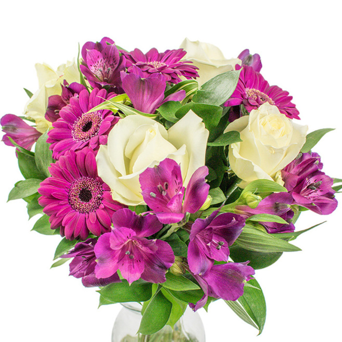 A professionally arranged, round bouquet sits isolated against a stark white background, its vivid palette and generous volume carefully observed. Prominent in the display are creamy white roses, their petals tightly furled at the centres and gradually opening into soft, velvety layers that catch the light with a gentle, almost satin sheen. Complementing them are at least three deep magenta Gerbera daisies; their bold, flat petals and central dark discs act as joyful focal points, punctuating the arrangement with saturated warmth. Interspersed throughout are clusters of purple and fuchsia Alstroemeria - delicate Peruvian lilies whose slender, trumpet-like petals are often marked with darker speckles and linear patterns, lending an exotic, hand-painted quality. The bouquet is luxuriously filled with rich, dark green foliage, a combination of broad, glossy leaves and narrower, textured greens with subtle variegation, which create a layered backdrop and enhance the bouquet's rounded silhouette. A faint edge of a clear glass vase is visible at the base, anchoring the stems and reinforcing the sense of freshness. The white background makes the colours pop while the interplay of light and shadow across petals and leaves suggests a crisp, morning ambient light; one might imagine the faint scent of garden-fresh roses and green stems. Crafted with professional attention to balance and rhythm, this arrangement suits formal celebrations, anniversary gifts, or simply a sophisticated centrepiece for a home near The Ridgeway or Mill Hill Park. It conveys joyful elegance and thoughtful gifting - a floral statement that feels both contemporary and timeless, the result of careful selection and floral technique.