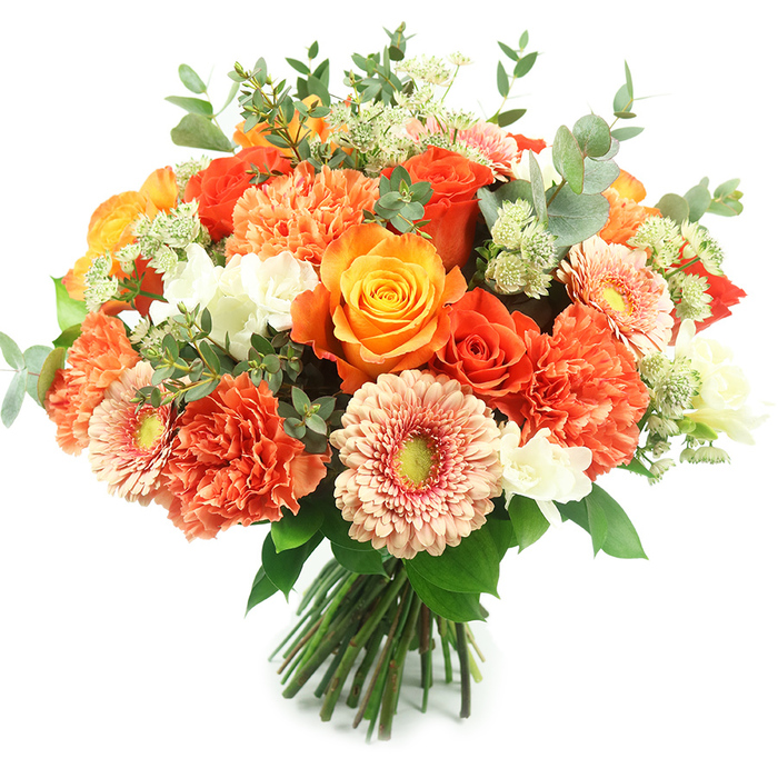 Presented upright on a stark white field, this luxurious hand-tied bouquet is a study in warm colour and layered texture, carefully arranged to read as both abundant and refined. Dominant within the round form are several large roses varying from radiant golden-orange to a deeper, almost ember-like orange; their petals are densely packed and spiral inward, offering both visual depth and a soft, honeyed fragrance. Nestled between these are numerous coral and burnt-orange carnations, their ruffled, multi-tiered petals creating an embracing, cushion-like volume that balances the roses' sculpted elegance. A selection of gerbera daisies, in pale peach and lively orange tones, peeks through with flat, open faces and slightly recessed yellow-green centers that act as small, sunlit focal points. Scattered throughout are small white filler blooms-delicate sprays that lift the eye and provide airy contrast to the richer colours-along with pale green, starry clusters reminiscent of astrantia adding a fine, feathery texture. Broad, round eucalyptus leaves with their distinctive silvery-green hue are woven through the bouquet, supplying cool tonal counterpoints and a restorative herbal scent. The stems are tightly bound, the hand-tied technique evident at the base, making the bouquet ready for a vase or for thoughtful hand-delivery to a home near Mill Hill Park or along The Ridgeway. This arrangement radiates warmth and celebration-suited to autumn gatherings, milestone birthdays, anniversaries, or as an elegant thank-you from one neighbour to another in the Mill Hill community.