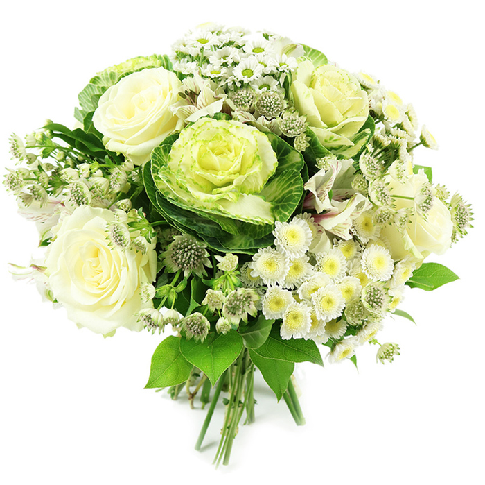 This image shows a meticulously arranged hand-tied bouquet resting against a plain white background, its palette of white, cream, and green creating a serene, modern look that feels at home in Mill Hill's calm residential streets. Several large, fully bloomed creamy white roses form the focal point, their petals opening in rich, velvety layers that spiral gently outward, suggesting both tenderness and quiet luxury. Interwoven with the roses are striking ornamental cabbages, their sturdy, deep green outer leaves cupping ruffled centres that shift from pale green to soft yellow-green, adding structure and an on-trend, botanical twist. Clusters of small white spray chrysanthemums and petite daisy-like flowers fill the spaces between, each bloom with multiple fine petals surrounding a subtle yellow-green centre, bringing a cheerful, yet understated texture that lightens the overall effect. Threaded through the bouquet are greenish-white astrantia blooms, their star-shaped florets gathered into small, intricate heads, introducing a slightly wild, meadowy note that calls to mind the greenery around Mill Hill's open spaces. Here and there, slender white alstroemeria petals with faint markings peek from the arrangement, contributing a delicate finishing touch. A generous halo of mixed foliage frames the bouquet, with broad, glossy leaves and more refined, slender stems in varying shades of green, enhancing depth and contrast. The stems at the base are clearly visible, neatly gathered and tied, highlighting the skilled hand-tied craftsmanship typical of Flowers Mill Hill. The overall mood is pure, calm, and sophisticated, perfectly suited for weddings, elegant home décor, anniversaries, or a gentle sympathy tribute delivered across Mill Hill and nearby North London areas.