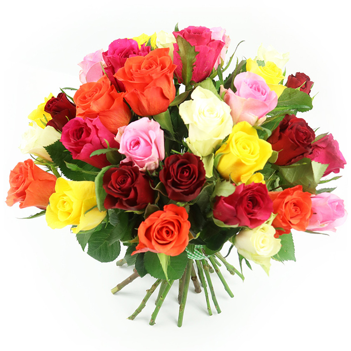 A generous bouquet of around thirty to forty roses is shown resting on a white surface against a clean white background, conjuring the sense of a freshly tied arrangement ready for same-day delivery in Mill Hill. The bouquet is densely constructed into a rounded, dome-like form, with each rose head nestled close to its neighbours, creating a lush tapestry of colour. Deep ruby red and rich burgundy roses are interwoven with vivid fuchsia and candy pink blooms, while sunny yellows and warm, fiery oranges add brightness and energy. Creamy white and ivory roses are sprinkled throughout, softening the palette and lending a gentle, classic touch. Rather than being grouped in colour blocks, the hues flow smoothly around the bouquet, giving it a natural, garden-inspired character. Each rose displays a different stage of opening, from tight buds hinting at future blossoms to fully unfurled flowers with spirals of silky petals. Dark green leaves are visible between the blooms and near the lower edge, providing contrast, depth, and a reminder of the living stems beneath. The stems themselves are long and straight, gathered neatly together and tied with a green and white checked ribbon, which adds a charming, pastoral accent, as though the bouquet had been picked from a country garden on the outskirts of Mill Hill and tied by an experienced florist. Bright, even lighting illuminates the arrangement, intensifying the colours and revealing the delicate textures of each petal and leaf. The bouquet radiates a warm, celebratory mood, perfect for anniversaries, birthdays, congratulations, or thoughtful gestures shared around areas like Uphill Road, Bittacy Hill, and the wider NW7 community.