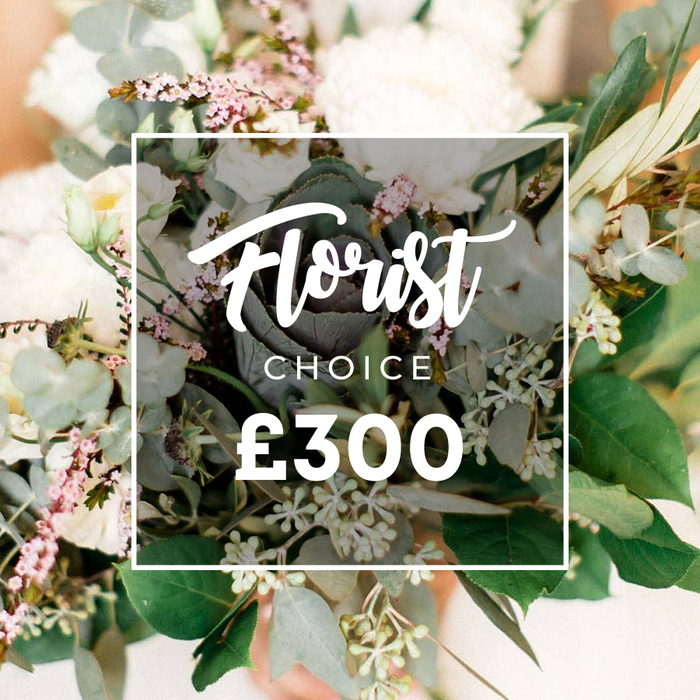 A vibrant, lush bouquet sits in the frame, its white and cream full-petaled blooms-roses, ranunculus, maybe gardenias-nestled among delicate pale pink sprigs and soft fillers like waxflower. The foliage is abundant: slender olive branches, classic eucalyptus leaves in their silvery tones, and tiny white-green berries dotted along the stems. A crisp white rectangle frames the central text: 'Florist' in a graceful script, 'CHOICE' in bold uppercase, and the price '?300' beneath. The arrangement reads both luxurious and approachable, as if hand-tied by a familiar florist in a sunlit studio near Mill Hill Broadway. The lighting is warm and diffuse, casting a gentle glow that brings out the satin sheen of the petals and the powdery texture of the greens. The bouquet rests in an informal, natural style-loose stems, gentle curves, and an assured, modern edge provided by a single dark focal plant in the heart, an ornamental kale with a deep green-to-plum hue. The overall effect is one of quiet celebration: a premium gift for anniversaries, birthdays, or celebrations that call for a refined yet approachable luxury. This Florist Choice design is a testament to the craft found in Mill Hill, delivering freshness and artistry to homes along Mill Hill Broadway and nearby North London streets, with reliable same-day delivery to local customers.