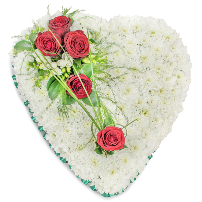 The photograph shows a large heart-shaped floral tribute designed for a funeral or memorial, set against a plain white background so the colours and textures stand out clearly. The structural base of the heart is entirely covered with numerous small white chrysanthemums, each flower head placed tightly beside the next to form a continuous, cushioned surface. Their crisp white petals look soft and feathery, bringing a sense of purity and serenity to the piece, as though the heart itself were a gentle resting place for the memory of a loved one. At the upper left side of the heart, a cluster of three deep red roses creates a strong visual and emotional focus. Their petals are velvety and richly coloured, opening in beautifully layered spirals. Around the roses, there is a mixture of dark, shiny foliage, lighter, airy greenery, and a few tiny white filler blooms that soften the cluster and add depth. Two additional red roses are positioned lower, towards the right of the heart, giving the design a pleasing diagonal rhythm. These roses are visually linked to the upper cluster by long, curved strands of bright green ornamental grass that sweep across the white chrysanthemum background in gentle arcs. The outside edge of the heart is finished with a band of deep green satin ribbon, subtly pleated to follow the contours of the shape, its soft sheen lending a polished and respectful finish. This kind of floral heart is a familiar sight at services in and around Mill Hill, whether resting on a coffin in a chapel or placed at a graveside, embodying a final message of steadfast love, honour, and remembrance.