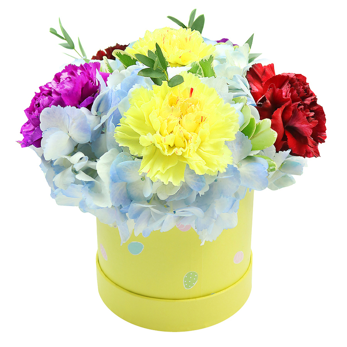 Viewed from slightly above on a crisp white surface, this lush hatbox bouquet has the confident charm of a fête-ready gift freshly arranged at Flowers Mill Hill. In the centre two generous, frilled yellow carnations draw the eye, their ruffled petals layered like soft, sunlit crepe and imparting a gentle spicy sweetness typical of carnations. Surrounding them, abundant periwinkle hydrangea clusters create a dreamy, cloud-like foundation - each small floret carries subtle gradations from sky blue to near-white, producing a delicate, frothy texture beneath the larger blooms. To the left a deep magenta carnation furnishes a burst of pure colour, while a velvety, burgundy-red carnation on the right provides weight and balance; together these darker tones enrich the palette and accentuate the central yellows. Slender green foliage threads through the arrangement, giving structure and a fresh, leafy scent impression. The cylindrical gift box is a soft lemon-yellow, whimsically dotted with pastel shapes in light blue, soft pink and pale green and tiny white speckles - a finish that suggests spring parties, baby showers or thoughtful birthday deliveries around Mill Hill Village and The Ridgeway. Soft, diffused daylight sculpts the petals and casts faint shadows that reveal the composition's depth and the florist's hand: blooms are clustered tightly for fullness yet arranged to let each flower read individually. This picture conveys a compact, premium floral gift crafted for brightening doorsteps and desks throughout Mill Hill, an offering that feels both celebratory and tender.