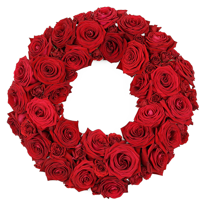An elegant, celebration-ready wreath, this circular arrangement is composed entirely of dozens of deep red roses against a pristine white background. The blooms are packed tightly, producing a luxurious texture and a continuous ruby-red ring whose surface glows with soft light. Dominant are the large, open heads with velvety petals that spiral toward their centres, interspersed by smaller, partially opened roses and a few miniature blossoms to add depth and movement. No greenery appears on the surface, preserving a sleek, classic look that feels timeless and refined. The petals' subtle sheen catches the light, giving the wreath a ceremonial glow that suits anniversaries, weddings, or formal receptions. In Mill Hill, this design can be delivered across NW7 to homes or venues, aligning with a refined table display or entryway focal point. It's the kind of piece a local florist would reach for when a client wants a statement of elegance, romance, and heartfelt celebration, photographed beautifully for feature articles about contemporary floristry in the Mill Hill area.