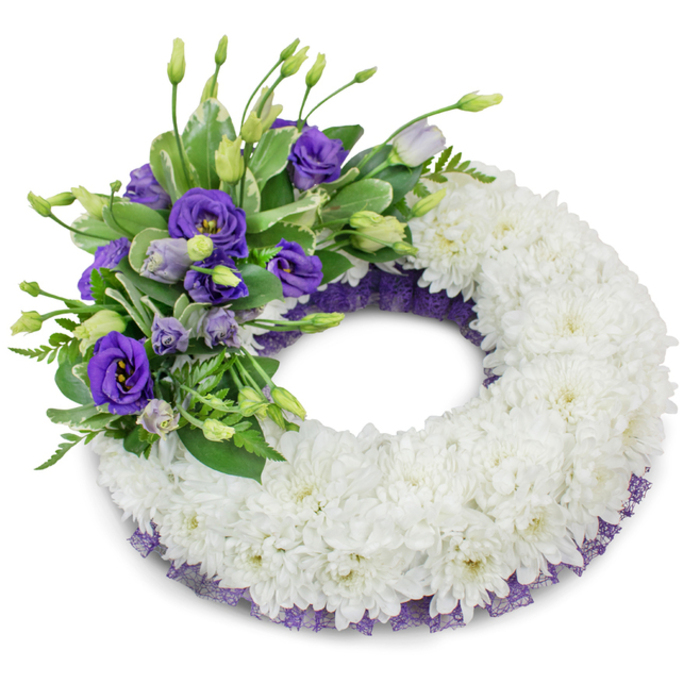 A classically composed circular funeral wreath shown against a stark white backdrop, its arrangement harmonising simplicity and a quiet dignity. The main body is a thick, continuous ring of immaculate white cushion chrysanthemums; each bloom's many ruffled petals nestle tightly to form a lush, soft surface that reads as a single, serene band of white, symbolising peace and remembrance. In the upper-left quadrant the eye is drawn to a rich cluster of purple Eustoma (Lisianthus) - several fully opened, deep violet flowers with lighter centres sit beside partially opened lavender buds, their layered petals producing a gentle play of shadow and colour. Sprays of greenery are woven through this accent: broad, glossy leaves, subtly variegated foliage and wispy fern-like fronds that introduce organic texture and breathe life into the composition. A subtle but elegant finishing detail is the narrow, crinkled dark purple mesh or lace edging that peeks along both the inner and outer edges of the chrysanthemum base, providing a sophisticated contrast that complements the Lisianthus tones. The studio lighting is soft and diffused, creating a faint shadow beneath the wreath which emphasises its rounded form and handcrafted depth. The overall impression is calm and consoling, with a mild, fresh floral scent and a tactile plushness to the chrysanthemums; this wreath makes a thoughtful tribute for services in Mill Hill Village or at a local chapel, conveying respect, sympathy and lasting remembrance.