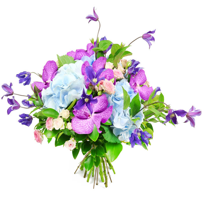 Photographed against a bright white background, this sophisticated bouquet feels both modern and lush, as if prepared for a special gathering in a Mill Hill home. Broad, rounded clusters of light sky-blue hydrangea form the central cushion of the design, their many small petals overlapping to create a full, cloud-like effect that instantly draws the eye. Threading gracefully among the hydrangeas, vivid fuchsia and sumptuous deep purple orchids-probably Vanda or Phalaenopsis-add a commanding presence, their smooth, velvety petals marked with intricate speckles and fine veining that give each bloom a sculptural elegance. Rising above the main mass of flowers, slender stems of purple clematis carry star-shaped or bell-like blossoms that arc and trail, adding height, movement, and a hint of wild garden charm, like flowering vines climbing fences near Mill Hill Broadway or along the paths of Arrandene Open Space. Tucked between these more dramatic flowers, miniature roses in gentle blush and creamy white lend a softer, romantic note, their compact, layered petals suggesting sweet sentiment and kindness. Encasing the composition, a generous frame of rich green foliage provides structure and contrast; broad glossy leaves catch the light, while finer, more delicate greenery fills the gaps, keeping the bouquet looking abundant yet balanced. The visible stems are neatly gathered and hand-tied, emphasising the skill and care involved in its creation. Overall, the bouquet's blend of cool blues, regal purples, soft pinks, and vibrant greens evokes elegance and serenity, making it ideal for anniversaries, thank-you gestures, or same-day delivery to brighten a home, office, or restaurant table anywhere around Mill Hill.