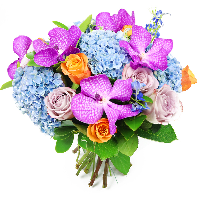 This image presents a meticulously designed, hand-tied bouquet set against a bright white backdrop, allowing every hue and petal to stand out with clarity. The bouquet is composed in a compact, domed form, creating an immediate sense of abundance. At its heart, expansive clusters of pale blue hydrangeas form a generous base, each composed of tiny, four-petalled florets that overlap into soft, rounded masses. Their tranquil blue recalls open skies over Mill Hill and lends the arrangement a soothing, airy quality. Rising through this soft base, dramatic Vanda orchids in deep magenta and fuchsia demand attention. Their petals are broad and slightly glossy, decorated with fine white speckles and reticulated patterns that appear almost like delicate lacework laid over vibrant silk. Interspersed among these striking blooms are roses in complementary shades: joyful orange roses, beginning to open in spirals of warm colour, and sophisticated lavender or mauve roses, whose muted tones and velvety texture bring an air of quiet romance. Fine spikes of deeper blue accent flowers, similar to slim delphinium stems, poke gently through the larger forms, adding a touch of wildness and height without disturbing the overall roundness of the bouquet. Surrounding the central flowers, lush green foliage with broad, shiny leaves curves around the design, acting as a natural frame and intensifying the rich colour contrasts. At the bottom, the stems remain visible, neatly trimmed and tightly bound, signalling a professional, hand-crafted composition from a local Mill Hill expert such as Flowers Mill Hill. This bouquet would make a striking gift or centrepiece for celebrations, anniversaries, or refined gatherings throughout Mill Hill and nearby North London neighbourhoods.