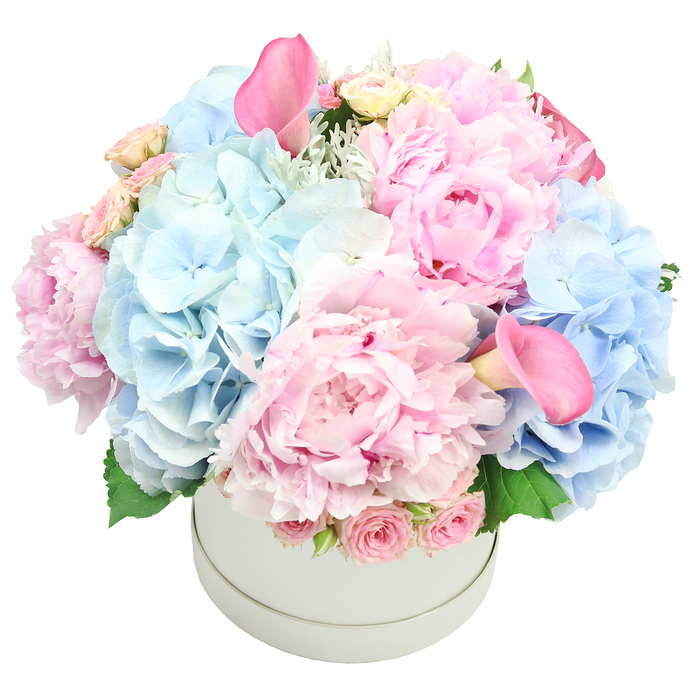 Elegant and opulent, this stunning floral arrangement is presented in a light grey, matte round hatbox, placed centrally against a crisp white backdrop. The bouquet is densely packed, with a romantic blend of pastel pinks and soft baby blues that creates a voluminous, theater-ready presence. Dominant are large pink peonies, their ruffled petals catching the light in blush tones, paired with cloud-like clusters of baby-blue hydrangeas that lend air and coolness to the composition. Interleaved among them are sprays of cream-tinged pink roses, their buds tightly furled, and two trumpet-shaped calla lilies in deeper pink that rise like elegant notes within the arrangement. Near the rim, small clusters of pink spray roses add texture and a classic charm. Subtle hints of silvery foliage, such as dusty miller, and fresh green leaves peek through for depth and a natural, garden-fresh feel.

The overall look is refined and generous, a versatile centerpiece perfect for weddings, anniversaries, or birthdays, and equally suited to brighten a home or a corporate reception. The bouquet is designed with a careful hand, a testament to craftsmanship, and ready for delivery across Mill Hill and nearby districts, with same-day options to suit last-minute celebrations or thoughtful gestures. Imagine it gracing a wedding table in Mill Hill's garden venues or brightening a birthday luncheon in a quiet NW7 living room, a reminder of how skilled hands can shape a moment into memory.