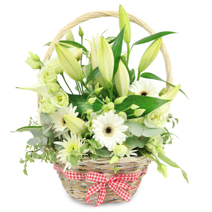 A light, natural wicker basket packed generously with fresh white and soft green flowers is set against a bright white background, evoking the calm refinement of an anniversary arrangement prepared for homes around Mill Hill. The basket's tight weave and warm straw-brown tone give it a rustic, handcrafted character, while the arched handle frames the flowers like a subtle halo. At the front, a red and white checkered ribbon is tied into a precise bow, adding a playful, countryside note that would suit a kitchen near Mill Hill East or a sunlit dining room overlooking Arrandene Open Space. Rising above the foliage, numerous lily buds in creamy white and pale green tones stand tall, most still closed, promising a graceful progression of blooms over several days. Scattered between them are open white Gerbera daisies, their neat petals radiating around dark central disks, bringing clarity and focus to the design. Soft lisianthus blossoms in white and light green are tucked in throughout, their ruffled petals adding romance and volume. A single elegant calla lily, pure white and trumpet-shaped, curves gently from the centre, giving the arrangement a contemporary edge. Small, spiky chrysanthemum-like sprays in white and green fill out the spaces, adding texture and a sense of fullness. The entire composition is cradled in lush greenery: rounded blue-green eucalyptus leaves, trailing variegated foliage that hints at movement, and broad, glossy dark green leaves that anchor the design. The clean palette of whites and greens against the neutral background radiates serenity, purity, and understated luxury. Ideal for marking a special anniversary near Mill Hill Broadway, thanking a host after an evening nearby, or offering gentle sympathy, this basket feels both fresh and timeless, like a quiet celebration of shared memories.
