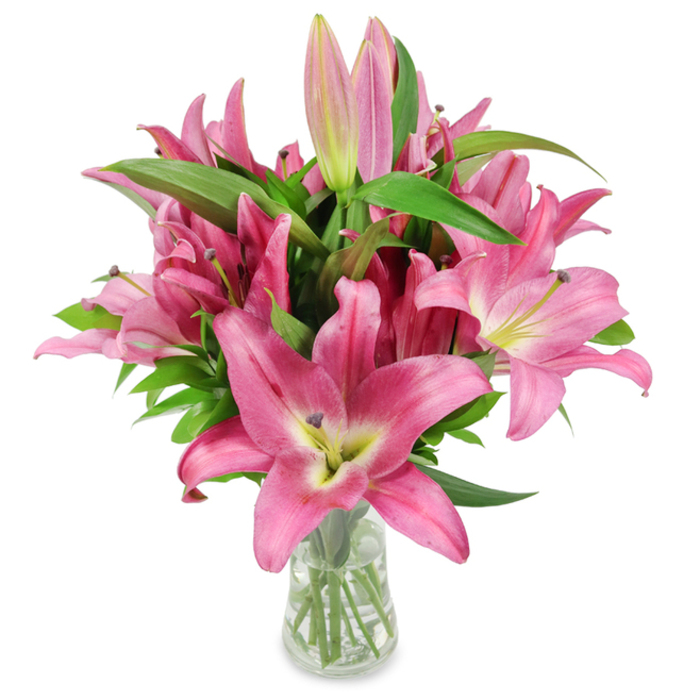 A luminous cluster of freshly cut pink lilies fills a clear glass vase, photographed on a pristine white surface to spotlight the bouquet's natural drama and texture. The blooms present a spectrum of pinks-from vibrant fuchsia to softer rose-each blossom opening into broad, star-like petals that curve back to expose a pale greenish-chartreuse throat melting into creamy white, while bold, dark burgundy stamens dusted with pollen add contrast and delicate structure. Among the fully opened flowers, numerous pointed buds at different stages-some tightly furled and pale, some plumper and deeper pink with faint green tips-promise an extended display of colour and scent. Deep, glossy leaves with a lance-shaped form weave through the arrangement, giving it generous body and a verdant backdrop; the vase's clear sides reveal neatly trimmed stems standing in clean water, conveying freshness and hands-on care. The soft studio light emphasizes the satiny sheen of each petal and the fine veins within, suggesting both tactile smoothness and the lilies' sweet, heady perfume. As a local Mill Hill florist I imagine this bouquet gracing a coffee table near Mill Hill Clock Tower or arriving as a thoughtful gift for a neighbour on The Broadway; Flowers Mill Hill arranges stems like these with attention to longevity and seasonal freshness. This image feels both contemporary and intimate-ideal for celebrations, a quiet expression of sympathy, or to lift a home with pure floral elegance.