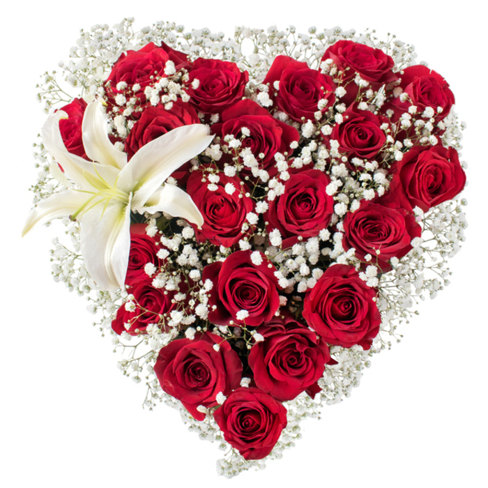 Presented on a stark white background, this floral heart is a study in romantic contrast and tactile detail: dozens of rich crimson roses are clustered so closely that their velveteen petals create sculpted folds and shadowed depth, forming the unmistakable heart contour. Interwoven throughout and softening the outline are plentiful sprays of tiny white baby's breath (Gypsophila), each minuscule bloom like a fleck of light against the darker roses, creating a soft, cloud-like veil that both frames and lifts the composition. Dominating the upper-left curve of the heart, a single large white lily unfurls its smooth, luminous petals-subtle cream near the inner base and a cluster of warm yellow stamens at its center-offering a calm focal point that contrasts the abundance of red. The overall effect is tactile: the roses feel plush and dense, the gypsophila airy and papery, and the lily cool and satiny to the touch; together they form a bouquet that reads as both luxurious and tender. The clean background isolates the bouquet so a viewer can appreciate the nuances of colour and craftsmanship-how each rose has been placed to preserve the heart's symmetry and how the white flowers soften the silhouette. This arrangement would be especially moving for occasions where sentiment matters-a Valentine's gift, an anniversary remembrance, or a heartfelt surprise-sent with thoughtful packaging familiar to neighbours around Mill Hill Park and Mill Hill East. The piece communicates deep devotion without excess, shaped by experienced hands to convey both romance and restraint.