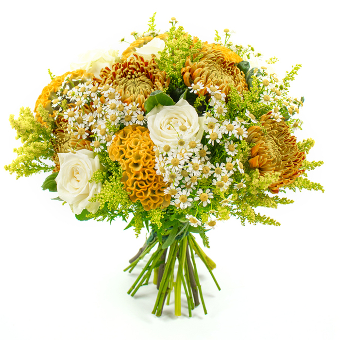 This beautifully composed, hand-tied bouquet is photographed standing upright against a bright white background, allowing every colour and texture to stand out. The arrangement forms a rounded, abundant mound dominated by large chrysanthemums in shades of rich golden yellow, rusty orange, and warm brown, their intricate, spiky petals radiating in layers that give a sense of fullness and luxury. Nestled throughout the chrysanthemums are several creamy white roses, their smooth, tightly wound petals introducing elegance and a soothing contrast to the fiery tones. A distinctive highlight of the bouquet is the yellow-orange celosia, whose brain-like, densely ruffled crests take on a velvety, coral-like appearance, adding sculptural interest and a touch of playful drama. Interspersed around these focal blooms are clusters of small, daisy-like flowers, each with delicate white petals and a bright yellow centre, reminiscent of chamomile and bringing a cheerful, countryside feel that echoes the green spaces around Mill Hill Park and Arrandene Open Space. Generous stems of lime-green solidago and other fresh foliage form a feathery, verdant halo around the flowers, creating a sense of depth and framing the bouquet with natural softness. The stems are neatly gathered and secured with green florist's tape at the base, signalling a professionally crafted design ready to be placed in a vase or handed to a loved one in Mill Hill or the nearby Broadway area. The lighting is bright and even, revealing the intricate textures-from the velvet curves of celosia to the crisp edges of daisy petals-while maintaining a gentle, inviting mood. Overall, the bouquet radiates warmth, abundance, and quiet sophistication, making it perfect for autumn celebrations, housewarmings, or thoughtful same-day deliveries in the local neighbourhood.