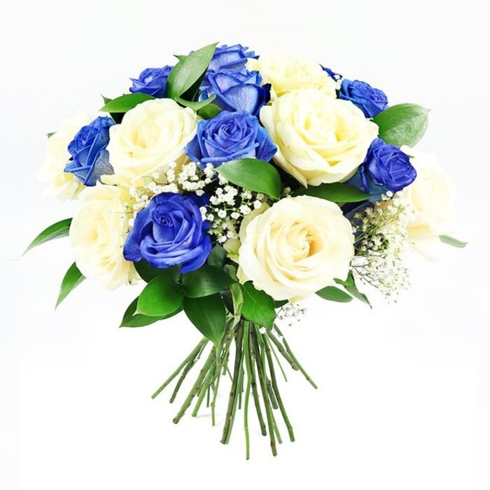 A hand-crafted bouquet of roses in deep sapphire blue and creamy ivory is centred against a pure white background, every bloom carefully composed to create a harmonious, rounded arrangement. The roses form a gently domed shape, with their heads touching and overlapping so that the eye travels smoothly across the bouquet without interruption. The blue roses are particularly striking: a rich, velvety royal blue, with petals that curl and layer upon each other in graceful spirals, their colouring subtly varied so some appear darker and more shadowed, while others catch the light in brighter, more luminous tones. Nestled among them, the cream roses offer contrast and softness, their petals unfolding from warm, buttery centres to paler, almost white edges that seem to glow under the bright lighting. Sprinkled between the larger blooms, tiny clustered blossoms of white baby's breath bring an airy, almost cloud-like touch, filling small spaces and lending the arrangement a sense of delicacy and lightness. Around the underside and peeking through in places, lush dark green foliage forms a natural collar, the leaves smooth and slightly glossy, giving the bouquet definition and a hint of woodland freshness reminiscent of an early walk through Mill Hill Park. Below the floral crown, the stems are gathered and tied, the clean cut ends aligned and visible, ready to slide into a glass vase on a windowsill overlooking the rooftops near Daws Lane. The neutral white background allows the interplay of blue, cream, and green to stand out clearly, highlighting the bouquet's refined symmetry. This arrangement feels thoughtful and composed, perfect for sympathy flowers, a respectful memorial arrangement, or a comforting gift delivered to loved ones in and around Mill Hill.
