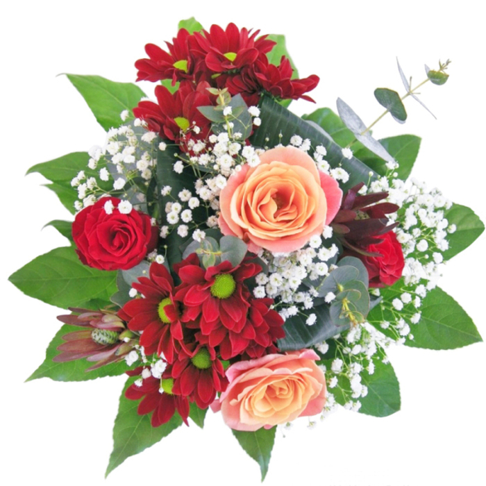 Arranged by Flowers Mill Hill, this contemporary bouquet captures the essence of northwest London elegance, blending dramatic colours with refined artistry. The deep crimson of plush chrysanthemums creates an intense, inviting base, joined by classic red roses which lend a timeless romance. Creamy peach and apricot roses emerge at the heart of the arrangement, providing a subtle warmth reminiscent of sunsets over Mill Hill's rural edges. Delicate clusters of gypsophila are woven throughout like pearly beads on fine lace, offering a whisper of softness amid the opulent hues. Presented in a clear vase-a nod to modern simplicity-the stems reveal their robust health, much like the thriving greenery that lines Mill Hill's residential lanes. The interplay of textures and shapes is purposeful: from silken petals to airy gypsophila, from glossy foliage framing the display to the gathered embrace of roses at the centre. There's an evocative sense of movement and harmony, as though the bouquet is a gentle embrace embodying both celebration and comfort. Designed to express deep affection, mark fresh beginnings, or serve as a sophisticated accent for homes or gatherings across NW7, this bouquet is as versatile as it is beautiful-crafted with both technical skill and local knowledge for an experience that is as heartfelt as it is visually stunning.