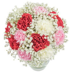 Crafted by skilled hands at Flowers Mill Hill, this lush bouquet epitomizes floral luxury and thoughtful design. A dense gathering of ruffled carnations in passionate red, gentle pink, and creamy white erupts from the heart of a rounded vase, their petals layered like fine silk. Interlaced with these full blooms are airy tufts of gypsophila, their delicate, star-like whiteness creating a sense of movement and gentle contrast-reminiscent of fluffy clouds drifting above Mill Hill's parks. The careful interplay of colour and texture is heightened by clear, radiant lighting, accentuating each petal's softness and the bouquet's classically symmetrical form. Peering through the clear glass vase, the submerged stems are neatly aligned, a quiet nod to expert floristry and the freshness you'd expect from a beloved local shop. Suited for occasions both grand and intimate-a thank you for a neighbour on Hale Lane, a token of affection delivered to The Ridgeway, or a heartfelt tribute on Mother's Day-this bouquet brings a sense of celebration and quiet luxury, tailored perfectly for the Mill Hill community's tastes and values.