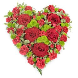 A striking heart-shaped arrangement of red and green flowers is set against a simple white background, allowing every bloom and leaf to be seen as clearly as if you were standing in a Mill Hill florist's shop. The heart is densely filled with flowers, creating a lush, three-dimensional form that looks luxuriously full. Prominent among the blooms are several large red roses, perfectly opened so that their layered petals form soft spirals, drawing the gaze inward and symbolising enduring love and closeness. Encircling and linking these roses together are red carnations and mini carnations, their frilled, textured petals building a rich crimson surface that traces the curve of the heart from top to pointed tip. Interspersed among the red are clusters of lime-green button chrysanthemums, compact and spherical, introducing a vivid, almost glowing contrast that feels both contemporary and uplifting. Along the outline of the heart, slender stems of variegated pittosporum foliage peek delicately between the blooms. Each small leaf is green at the centre with pale, creamy edges, adding a crisp, natural border that emphasises the heart shape. Toward the bottom, a few soft fern fronds gently extend, giving the design a final flourish of graceful greenery. The overall mood of the piece is tender and reflective, ideal for expressing sympathy, remembrance, and deep affection at funeral or memorial services in Mill Hill, Totteridge, or near the calm of Mill Hill Park. Whether placed beside a casket or displayed near the lectern, this lovingly crafted floral heart becomes a powerful, visual tribute that speaks quietly of love, gratitude, and farewell.