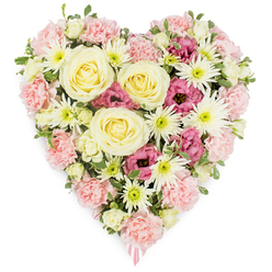 Against a clean white backdrop, a lush, heart-shaped floral arrangement appears almost to float, its colours and textures evoking the quiet calm of a Mill Hill morning. The heart is completely filled with a seamless blend of pastel pink, creamy white, soft yellow, and rich magenta blooms, creating a continuous, velvety surface. At the centre, several large cream-to-buttery-yellow roses dominate, their spiralled petals opening in gentle curves that suggest tenderness and enduring devotion. Encircling these central roses are abundant pastel pink carnations, their many ruffled petals overlapping so closely that they form a soft, cloud-like base, clearly tracing the rounded shape of the heart. Scattered throughout the design are bright white spider chrysanthemums, instantly recognisable by their slender, spidery petals bursting from clear green centres, which add lightness, texture, and a touch of airiness. Tucked between the lighter tones are clusters of deep magenta-pink lisianthus, with delicately cupped, bell-shaped blooms that bring a richer, more emotional note to the composition. Small sprigs of fresh green foliage and tiny buds peep between the flowers, keeping the arrangement from feeling too formal and suggesting the natural beauty found in gardens around Mill Hill, from Uphill Road to the leafy avenues near Mill Hill Broadway. At the tapered base of the heart, a soft pink ribbon is just visible, hinting that this is a finished sympathy or memorial tribute, prepared with care for a funeral service or graveside farewell. The overall effect is one of serene beauty and thoughtful craftsmanship, a floral heart that offers quiet comfort and honour to a dearly missed loved one.