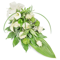 A serene, elongated floral spray designed for remembrance, shown on a plain white background so every texture and curve is visible. The arrangement centres on creamy white roses - some in full, soft rosette bloom and others gently closed - their velvet petals layered with delicate shading. Two pristine white Calla lilies rise with sculpted lines, offering a serene focal point that catches a subtle sheen of studio light. Interspersed are bright lime-green, button-style chrysanthemums whose dense, spherical texture lends a contemporary lift to the traditional whites. Fine clusters of baby's breath (Gypsophila) drift through the composition like tiny, luminous clouds, softening transitions between blooms and foliage. The greenery is thoughtfully layered: glossy, deep-green leaves create a lush foundation; variegated leaves with crisp white stripes add elegant contrast; feathery fern tips bring a woodland freshness. Two long, slender blades of vivid green arch over the piece, suggesting gentle movement and framing the upper composition, while the whole cascade tapers to a broad, smooth, bright green leaf that forms the sleek pointed base. A subtle cream fabric bow at the upper left finishes the piece with quiet dignity. As an experienced Mill Hill florist, we imagine this spray placed beside a service at a village church near Mill Hill Broadway or sent as a respectful tribute to families across Mill Hill East; Flowers Mill Hill can prepare similar designs for same-day local delivery where appropriate.