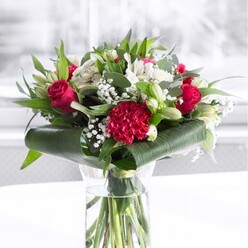 A sophisticated red and white floral arrangement glows in a clear cylindrical glass vase, set on a pristine white surface with a bright, softly blurred background reminiscent of a sunlit Mill Hill living room. At the heart of the bouquet, velvety deep red roses open in layered spirals, their petals just beginning to curl outward in that perfect moment of bloom that florists treasure. A generously ruffled crimson carnation sits confidently at the front, its frilled petals catching the light and giving the arrangement a plush, tactile centre. Threaded between these bold reds are creamy and white blossoms: graceful white alstroemeria with slender petals dusted in fine speckles, daisy-like white chrysanthemums, and a few firm white lily buds, still closed but hinting at fragrant, future blooms. Wisps of white gypsophila, or baby's breath, float among the larger flowers like tiny stars, adding softness and a sense of movement. The lower portion of the bouquet is surrounded by broad, glossy, dark green tropical leaves, carefully wrapped to create a structured collar that holds the design together. Additional eucalyptus-style foliage and pointed green leaves add variation in shape and tone, from rich forest greens to softer silvery hues. The stems below the waterline sit straight and clean, revealing the care taken in conditioning each flower, just as we would for same-day delivery to homes off Bittacy Hill or around Mill Hill Broadway. The mood is one of polished warmth and heartfelt intention, the kind of arrangement chosen to mark an anniversary, congratulate someone special, or bring a sense of poised celebration to a dining table or office reception in NW7.