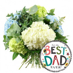 Captured against a pristine white background, this image features a hand-tied hydrangea bouquet paired with a cheerful Father's Day balloon, the sort of gift you might see prepared at a local Mill Hill flower shop before it goes out for same-day delivery. The bouquet fills the upper left with a full, rounded silhouette, made up of large, spherical clusters of hydrangeas. At the centre are creamy white blooms, their tightly packed, velvety petals forming plush domes that give the arrangement a soft, luxurious feel. Around them, light blue hydrangeas peek through, particularly along the left edge and upper section, adding a cool, soothing note that brings to mind calm afternoons walking near Mill Hill East. Breaking up the blues and whites, lime green hydrangeas are positioned towards the lower left and upper right, their bright, citrusy hues injecting freshness and energy into the design. Interwoven among the blooms are stems of silvery-green eucalyptus with rounded leaves, along with darker green foliage that frames the flowers, lending depth and a natural, slightly aromatic character. The stems of the hydrangeas are visible at the bottom, neatly aligned and tied together in classic hand-tied style, suggesting that this bouquet has just been finished on the workbench. To the lower right of the flowers, partially overlapping them, sits a shiny, round foil balloon. Its central area is a crisp white disk edged top and bottom with bold black-and-white stripes, like a smart frame around the message "For the BEST DAD EVER!" The words are rendered in a lively mix of fonts and colours, with "BEST" and "DAD" picked out in red, teal, green, and black, some letters striped, some polka-dotted. A small "No. 1" rosette graphic appears near the lettering, while colourful stars and confetti-style dots scatter across the balloon in yellow, red, teal, and black. Together, the cool-toned hydrangeas and the playful balloon create a heartfelt, celebratory composition, ideal for honouring a dad in Mill Hill on Father's Day, his birthday, or any moment when you want to send love and thanks.