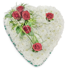 A classic heart-shaped funeral tribute, composed entirely of compact, pristine white chrysanthemums, presents a soft, textural bed that feels like a comforting pillow of memory. Each tiny chrysanthemum head has been placed with precision to create an unbroken, serene surface; the white reads as purity and quiet dignity under soft studio lighting. On the upper left a poignant cluster of three deep crimson roses rests against the white, their petals rich and velvety, cradled by glossy green foliage and delicate fern-like fronds that breathe lightness into the arrangement. Two further red roses are positioned apart - one near the upper right curve and a solitary bloom near the bottom point - giving the heart a measured, reflective rhythm. Fine green bear-grass strands extend outward in elegant arcs while a slim emerald-green satin ribbon neatly edges the heart, lending a subtle frame and a refined, solemn finish. Occasional tiny white accent blooms peek through the foliage, adding quiet depth and a hand-tended touch. The scent is faintly rose-sweet against the clean chrysanthemum note, an understated bouquet of remembrance. Prepared by Flowers Mill Hill for families in NW7, this arrangement suits chapel services or floral deliveries to Mill Hill Village and surrounding streets, offering a composed expression of sympathy, enduring love and respect.