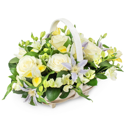 This image features a graceful funeral flower basket, set against a clean white background that emphasises the softness of its pastel hues. The basket is a pale, woven design in light beige and white, complete with a matching handle that reaches over the arrangement in a smooth circle, echoing the rounded shape of the flowers below. Within the basket, the bouquet is carefully built into a domed form, the kind of structured yet gentle composition you might expect from a dedicated Mill Hill florist who understands the quiet language of sympathy flowers. At the core, there are large, full-bloomed roses in shades of ivory and warm cream, their velvety petals unfolding in generous layers that feel both luxurious and deeply comforting. Weaving between them, star-shaped clematis blooms add a note of delicate colour, their pale lavender and periwinkle petals radiating around clear yellow-green centres, like small lights flickering in remembrance. Interspersed clusters of small, freesia-like blooms in white and tender pastel yellow introduce fine texture and a subtle floral scent; some blossoms are open and airy, while others remain as smooth buds along slender stems, suggesting a blend of memory and renewal. Ruffled white filler flowers, likely lisianthus or a similar variety, fill any spaces, softening every transition between the larger blooms. The flowers are supported and framed by rich greenery: broad, glossy dark green leaves provide depth, while lighter, more delicate foliage threads through the arrangement, adding natural movement. The result is a soothing, balanced tribute, ideal for funeral services, memorial gatherings, or condolence deliveries across Mill Hill, from the leafy streets near Mill Hill Village to homes around Bittacy Hill, offering a dignified and tender expression of support.
