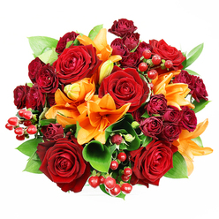 Directly overhead on a stark white backdrop, this densely packed bouquet presents itself like a richly woven tapestry of warm colours and textures. The focus is on several large, fully open red roses whose velveteen petals unfurl toward the centre, releasing the classic, deep scent associated with long-lasting romance. Interspersed through this crimson framework are bold orange Asiatic lilies-some flaring open to display their prominent stamens, others held in the elegant tension of a bud-introducing bright, citrus-tinged accents that lift the composition. Tight clusters of dark burgundy spray roses thread between the major blooms, their miniature forms adding luxury and dimensional contrast, while small, glossy hypericum berries glint like hidden rubies and contribute a crisp, seasonal punctuation. Shiny green leaves, likely ruscus or salal, emerge in layered fans beneath and around the blooms, providing cooling relief from the warm reds and creating a natural, garden-fresh foundation. The lighting is gentle and diffuse, chosen to emphasise petal texture and the soft shadows between blooms rather than dramatic contrast; the top-down framing keeps the design intimate and compact. Imagine this bouquet delivered to a home near Mill Hill Broadway station or placed on the window ledge of a cottage off Bittacy Rise-the colours read bold against an autumn sky and the arrangement communicates affection, celebration, or sincere thanks with the quiet confidence of a seasoned local florist.