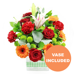 In this photograph, a joyful mixed-colour bouquet stands confidently against a clean white background, like a little celebration waiting to be placed on a windowsill overlooking the green spaces of Mill Hill. The flowers are arranged in a sleek, rectangular clear glass vase, its transparency revealing neatly aligned stems and water, while a band of light green and white gingham ribbon wraps the base, lending an inviting, homely note. At the heart of the arrangement are deep crimson roses, their velvety petals layered in tight spirals that speak of affection and care. Surrounding them, richly hued red-orange carnations provide a ruffled, textural counterpoint, making the bouquet feel generous and full. Interspersed among these are bright orange gerbera daisies with dark, well-defined centres, their wide, flat petals radiating outward like bursts of sunshine, echoing the cheerful feel of a weekend stroll along Mill Hill Broadway. Taller white Oriental lilies rise above the lower blooms, some fully open to reveal soft pink veining and delicate stamens, others held in elegant buds that will unfold gradually, extending the life and fragrance of the display. Dotted throughout, lime-green button chrysanthemums bring a playful, modern freshness, their small, rounded shapes providing visual contrast. The flowers are supported and framed by a mix of glossy deep green foliage and silvery eucalyptus sprigs, adding both depth and a hint of cool, aromatic calm. In the bottom right corner of the image, a circular orange badge with bold white text clearly states "VASE INCLUDED," highlighting that this exuberant arrangement arrives as a complete, ready-to-place gift, ideal for birthdays, housewarmings, or simple everyday joy in homes and offices around Mill Hill and neighbouring suburbs.
