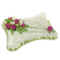 This tranquil sympathy pillow rests against a crisp white backdrop, its rectangular cushion densely packed with hundreds of small, pure-white chrysanthemum heads that create a cloudlike surface - soft, cool to the touch in the mind's eye, and visually calming. Nestled on the upper left sits a thoughtful cluster of dusky pink-to-magenta roses, their petals unfurling with a muted blush, gently interspersed with creamy lisianthus and delicate white freesia that introduce an airy, slightly sweet fragrance into the composition. Fern sprigs and glossy green foliage surround and lift the accent blooms, providing a natural, textured frame that contrasts with the chrysanthemum's fine surface. The edge of the pillow is neatly finished with a pastel lime-green satin ribbon folded into a subtle ruffle, adding a refined border that contains the design and warms the palette. Across the cushion two long, arching bear-grass stems sweep diagonally, creating a soft rhythm that draws attention from the floral cluster toward the opposite side and suggests a quiet, deliberate movement like a thoughtful breath. The overall effect is one of tender reassurance - an arrangement meant to cradle memories with empathy and care. The image suggests a calm morning light, a faint fragrance of roses and freesia, and a softness that speaks to remembrance; perfect to send from Mill Hill to nearby chapels or to place at a service held near Mill Hill Park or Mill Hill Broadway.