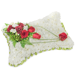 This dignified sympathy cushion is shown against a clean white background, its rectangular form composed entirely of tightly packed white chrysanthemum blooms that create a plush, fleece-like surface meant to suggest rest and purity. A narrow border of pale green satin or foliage peeks out around the edges, giving a finished, gentle frame to the piece. Anchoring the design at the top left is a concentrated spray of deep red roses and rich burgundy carnations; their contrasting textures - the roses' smooth, velvety petals against the carnations' frilled edges - lend the arrangement emotional depth. Interspersed amidst the darker blooms are clusters of small white freesias or spray chrysanthemums, delicate accents that lighten the composition and catch soft daylight much like the gentle sun that filters through trees on The Ridgeway. Feathery fern fronds and other glossy greens build a verdant backdrop, while long, arcing blades of bright green bear-grass or similar ornamental foliage sweep diagonally across the cushion. This graceful arc culminates in a single prominent red rose placed on the lower right, visually closing the design and offering a poignant focal point for remembrance. The overall scent is subtle and clean; the aesthetic calm and considered, typical of traditional funeral cushions used at services in local churches or memorials around Mill Hill Broadway, created to express respect and lasting affection.