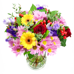 In this image, a mixed bouquet of garden-style blooms stands tall in a clear glass vase, set against a pure white background that allows each colour and texture to stand out. At the very heart, deep red roses open in layered spirals, their velvety petals conveying warmth and affection. Immediately beside them, two radiant yellow gerbera daisies shine with a friendly, almost sun-like presence, their dark brown-orange centres adding richness and drawing the eye. Encircling this focal cluster, soft pink daisies or chrysanthemums form a generous halo of pastel colour; their numerous fine petals and small yellow centres lend a light, cushiony feel, as if the bouquet were breathing out softness and comfort. Interwoven amongst the pinks, slender stems of purple and lavender lisianthus provide contrast, the bell-shaped blooms introducing cooler tones and a refined elegance, not unlike the quiet, polished character of the residential streets stretching from Mill Hill East station up towards Mill Hill Village. Bright red hypericum berries pop up sporadically between petals and leaves, round and glossy, giving the design unexpected texture and a modern twist. The greenery is plentiful yet balanced-broad, dark green leaves offer structure, while more delicate, lighter sprigs bring a sense of movement, as if the bouquet has just caught a gentle breeze blowing across nearby open fields. Through the transparent vase, the cleanly trimmed stems are visible, arranged neatly in clear water. The composition feels uplifting and celebratory, ideal for sending congratulations, welcoming a new baby, or simply delivering a burst of colour and natural fragrance to a Mill Hill home on an ordinary weekday.