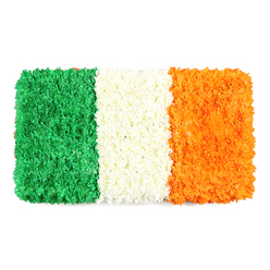 Like a careful garden-made emblem, this flag-inspired arrangement uses green, white, and orange petals to recreate Ireland's national banner. From left to right: emerald green petals densely packed into a stripe that resembles a plush carpet of tiny blossoms, again probably green carnations or chrysanthemums. In the center, a white stripe of closely clustered petals forms a soft, cloud-like band. On the right, a vibrant orange stripe mirrors the texture with marigolds or orange chrysanthemums. The three blocks align within a perfect rectangle on a white background, echoing the flag's canonical proportions and celebrating the artistry of floristry.

This piece is a thoughtful display for Mill Hill residents-from the High Street to Mill Hill Broadway-and would be well-suited for St Patrick's Day features in local papers or community newsletters. Its tactile texture invites touch, its colour palette invites warmth, and its symbolism invites reflection on unity across traditions. The flowers chosen are fresh, arranged with care to preserve form and fragrance, and the arrangement is ready for delivery across Mill Hill and surrounding districts, including Hendon and Finchley. Flowers Mill Hill crafts this piece with a nod to tradition and a commitment to freshness, making it a reliable option for same-day delivery when required.