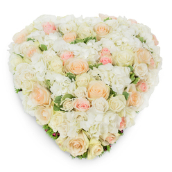 Gently photographed on a pure white background from above, this luxurious heart-shaped arrangement feels like a soft embrace: tightly clustered roses in creamy white, warm ivory, pale peach and tender blush pink form the core, each bloom placed with intent so that fully opened heads sit beside demure buds. Nestling among the roses are generous clusters of white hydrangea whose feathery, cloud-like florets introduce volume and a delicate contrast of texture; the hydrangea softens the visual rhythm and lends a calming, tactile quality. Slender flashes of deep green variegated foliage emerge here and there, their subtle striping and glossy finish adding freshness and a natural frame to the heart shape. The slightly elevated, overhead angle of the photograph reveals how the flowers are arranged to create a seamless, lush surface, while a soft shadow beneath the edges highlights the three-dimensional form and expert wiring or foam support that keeps the silhouette true. An experienced florist would note the balanced colour gradient from ivory to blush, the gentle scent of roses mingling with a clean, green undertone, and the overall impression of serene elegance. This composition speaks to quiet devotion - appropriate for weddings and anniversaries where romance is celebrated, or as a tender, respectful tribute for funerals and memorials. Locally crafted for the Mill Hill community, this premium design would be chosen by those seeking a refined, emotive statement that conveys love, remembrance and grace with understated splendour.