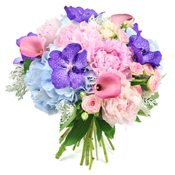 Against a clean white backdrop, this luxurious round bouquet showcases an artful blend of pink, blue, and purple flowers, arranged with the kind of care you would expect from a seasoned Mill Hill florist. At its heart, full light pink peonies unfold in layered ruffles, their soft, voluminous petals creating a romantic, cushiony centre that instantly suggests celebration and affection. Around them, generous clusters of powder blue hydrangeas form a low, cloud-like ring, each tiny floret contributing to a smooth, continuous wash of colour that cools and balances the warm tones of the peonies. Nestled among these pastel blooms, deep purple Vanda orchids add striking contrast, their broad petals patterned with darker speckles that lend an air of exotic refinement, like rare jewels set into a pastel tapestry. Graceful fuchsia calla lilies thread through the bouquet, their sleek trumpets gently curving above and between the other blossoms, introducing a contemporary rhythm and a richer, more vibrant pink. Smaller blush pink spray roses are scattered throughout, their delicate clusters adding texture and a touch of traditional English garden style that feels right at home in leafy Mill Hill. The composition is framed by lush greenery, including glossy dark green leaves that provide depth and structure, and soft, silvery-green dusty miller that brings a velvety, slightly frosted finish. At the base, the stems are neatly gathered and tied, clearly visible and suggesting a bouquet ready to be carried down a wedding aisle or presented as an elegant gift. The arrangement radiates gentle joy and sophistication, ideal for same-day flower delivery across Mill Hill, from hillside homes to offices near Mill Hill Broadway.