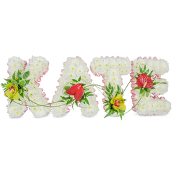 This image shows a lovingly crafted floral tribute spelling out the name "KATE" in tall, block-style capitals, positioned against a clean white backdrop that allows the colours and textures to stand out clearly. Each letter rests on a densely packed bed of white chrysanthemums, the small, rounded blooms pressed closely together to create a plush, velvety surface with a gentle, comforting presence. Around the perimeter of the K, A, T, and E, a soft pink satin ribbon has been carefully pleated to frame each shape, adding a delicate touch of colour and femininity that softens the overall look without distracting from the clarity of the name. Within the white blooms, the florist has nestled vivid accent flowers that add both contrast and symbolism. On the K and at the lower part of the T, lime-toned cymbidium orchids with intricate reddish-brown markings in their centres provide a fresh, uplifting note, reminiscent of springtime greenery around Mill Hill's open spaces. On the A and the E, rich red anthuriums with smooth, waxy, heart-shaped petals offer a strong emotional point of focus, suggesting deep affection and an enduring bond. These blooms are cradled by glossy dark-green leaves and airy fern fronds, which lend structure and a sense of natural flow. Fine green tendrils loop and trail gently from letter to letter, tying the whole name together so it reads as one graceful composition. The design feels both formal and tender, a bespoke memorial piece suitable for a funeral service, chapel display, or graveside tribute in the Mill Hill area, created to honour KATE's memory with elegance and care.