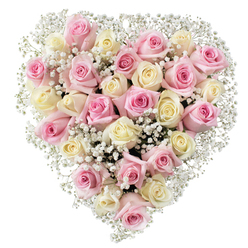 In this handcrafted heart-shaped bouquet, the skilled touch of a Mill Hill florist is unmistakable. Approximately thirty roses in an enchanting blend of blush pinks and creamy whites come together to form a plush, full heart, their petals at varied stages of bloom suggesting both evolving love and memories cherished through time. Interspersed throughout are airy sprigs of baby's breath-small, star-like blooms that offer gentle texture and a sense of lightness, reminiscent of the soft breezes over Arrandene Open Space. The roses themselves glow with fresh, dewy vitality, their velvety surfaces highlighted by crisp lighting that draws out both blush and cream hues, some with hints of pale yellow. This arrangement, crafted just steps from Mill Hill Broadway, radiates compassion, gratitude, and the enduring bonds that connect family and friends. The composition's heart shape, densely packed with blooms, eloquently speaks of affection, celebration, or farewell-a floral illustration of enduring love for special occasions, tributes, or heartfelt gifts that unite the Mill Hill community. The effect is one of consolation and peaceful memory, like a soft embrace rendered in petals and scent.