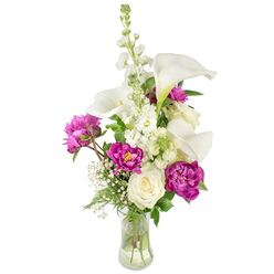 In soft daylight this arrangement reads like a small, cultivated garden set inside a curved glass vase. White calla lilies arc upward with a sculptural simplicity - their bell-shaped forms and pale central spadices reflect a serene, modern elegance that contrasts beautifully with the lush drama of magenta peonies. Two large peony blooms open fully below, their densely ruffled petals layered like silk, while a smaller bud on a visible stem hints at another unfolding moment. A creamy white rose sits tucked among the lower stems, its compact spiral providing a calm focal point amid the peonies' exuberance. A tall column of white stock, its clustered florets creating soft vertical texture reminiscent of larkspur, adds graceful height and movement, and tiny clouds of baby's breath are threaded throughout to soften edges and add an ethereal lightness. The arrangement's greenery - a mix of slender fern-like fronds and fuller leaves - provides a verdant frame that enhances the petals' colours and adds a tactile crispness; the clear vase shows the stems in water, reinforcing a fresh-from-the-workshop feeling. The fragrance is gentle: cool calla with the warm, honeyed sweetness of peonies, an aroma that feels like a summer walk through Mill Hill Park. Made with the sensibility of a local florist, this bouquet suits occasions from quiet comfort to bright congratulations and can be imagined brightening a mantelpiece or dining table across the Mill Hill and Barnet neighbourhoods.