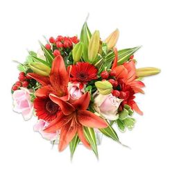 A bold, celebratory bouquet arranged on a clean white field, the composition built around several striking orange-red Asiatic lilies whose speckled, recurved petals and dark-tipped stamens create an immediate focal point. These dramatic lilies are thoughtfully counterbalanced by saturated crimson Gerbera daisies with dense petal rays and dark centers, offering a lively, modern energy. Scattered gently among them are pale blush roses, some tightly furled and others opening into soft rosettes, their smooth satin petals lending tenderness and contrast to the bolder shapes. Glossy red hypericum berries cluster like tiny, festive ornaments, adding bright punctuation and a tactile gloss that plays against the matte blooms. The bouquet is finished with a generous mix of greens - long, pointed lily leaves, broad solid foliage, and a few variegated stems with delicate cream streaking that lift the composition and create visual pathways through the blooms. The sensory impression combines velvety rose petals, the papery resilience of lilies, and the cool, rounded firmness of berries, with a subtle floral-spice scent that feels freshly gathered from a local stall on Mill Hill Broadway. Crafted with regional care by Flowers Mill Hill for neighbours in Mill Hill and surrounding streets such as The Ridgeway and Bittacy Hill, this arrangement reads as both joyful and considered, suitable for housewarmings, anniversaries, or as a vivid 'thinking of you' gift. Its full, rounded silhouette and layered textures showcase skilled floristry and a keen eye for seasonal harmony.