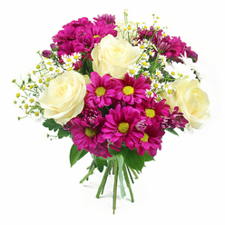 A bright, rounded bouquet of mixed flowers is captured against a pure white backdrop, its colours and textures clear and inviting, much like the displays in a Mill Hill high street florist. At the centre, several full, creamy white roses with a soft blush of pale yellow at their depths unfold in graceful spirals, giving the arrangement a sense of timeless romance and poise. Encircling these roses are abundant chrysanthemums in rich magenta and fuchsia shades, their daisy-like petals radiating out from glowing yellow and yellow-green centres that lend the bouquet a playful, sunlit vibrancy. Threaded between the larger blooms are slender stems of tiny white daisy-style flowers, similar to chamomile or Matricaria, each one composed of delicate white petals around a miniature yellow heart, adding a light, meadow-fresh texture that evokes walks through the green spaces around Mill Hill's fields and parks. Tucked just below the main flower heads, smaller chrysanthemum buds in deeper purple-pink tones emerge, creating a pleasing sense of depth, as if the bouquet is still gently unfolding. Surrounding everything is a lush layer of rich green foliage, including classic rose leaves and broader chrysanthemum greens, which grounds the design and makes the brighter colours appear even more intense. The stems are neatly gathered and bound at the base with a green and white checkered ribbon, adding a subtle, homely charm you might associate with a lovingly prepared gift picked up near Mill Hill Broadway station. Soft, even light illuminates the arrangement, emphasizing the natural sheen of each petal and leaf, and giving the bouquet a feeling of joyful celebration that would suit birthdays, anniversaries, or simple everyday gestures of care.