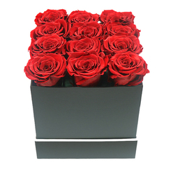 This close-up image captures a sophisticated rose box arrangement that feels tailored for a special delivery in Mill Hill, perhaps to mark an anniversary or a proposal at home. At the centre of the frame is a compact square box finished in matte black, its surfaces sleek and perfectly smooth, with sharp, clean edges that suggest modern design. Around the lower third of the box runs a slim white stripe, simple yet striking, like a fine belt on an evening outfit. Rising from the open top are twelve red roses, arranged with meticulous care into three rows of four. The blooms press gently against one another, forming a dense rectangle of colour that completely covers the opening and lifts a little above the rim, creating a plush, cushion-like effect. Each rose is fully open, revealing tightly layered petals that spiral out in rich, velvety curves. The hue is a saturated crimson, with hints of darker wine tones in the depths of the petals and lighter red highlights catching the soft light. The flowers look uniform and carefully chosen, evoking the impression of preserved eternity roses that hold their shape and colour long after delivery. The background is a pure, unbroken white, giving the composition a clean, gallery-like feel that brings every detail into focus. Gentle, diffuse lighting bathes the roses, enhancing their texture while casting only the faintest shadows along the edges of the box. The mood is one of quiet luxury and deep affection, the sort of arrangement a Mill Hill local might send for same-day delivery to a home near Mill Hill East or along Bittacy Hill when they want a gesture that speaks volumes without saying a word.