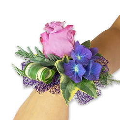 Set against a stark white studio background, this wrist corsage reads as a small study in contrast and tenderness, perfectly balanced for formal occasions. The focal bloom is a generous pink rose, partially unfurled with soft, cup-like petals that graduate from a light, tender pink at the heart to a deeper fuchsia at the ruffled edges; the surface looks almost satiny and seems to hold a whisper of scent. Flanking the rose are rich, indigo-purple hydrangea clusters whose tiny petals have delicate blue-tinged centres, creating a luminous, starlit effect that offsets the rose's warmth. Textural variety comes from slim, silvery-green stems-likely eucalyptus or sprigs of lavender-that lean outward with a gentle, feathery motion, adding calm and a slightly aromatic lift. Variegated ivy leaves tuck in around the composition, their dark green centres edged with creamy yellow, bringing a familiar garden formality. A contemporary twist arrives in a boldly striped, wide leaf coiled into a neat spiral: white and green bands catch the eye and add sculptural drama. Beneath it all, a dark purple open-weave mesh nests the flowers and adds a soft, shadowed base that echoes the hydrangeas' hue. Designed with careful attention to proportion and wearability, this corsage suggests quiet celebration-from bridesmaids on a late-spring wedding to a prom night on Bittacy Hill-and is the sort of piece local customers ask for when ordering in Mill Hill. It reads as both delicate and striking, composed to be seen close-up and to be remembered.