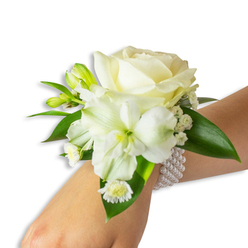 This delicate wristlet, photographed against a clean white backdrop and worn on a pale wrist, reads as an ode to understated elegance with clear Mill Hill sensibility. At its heart, a lush creamy-white rose blooms in full, its layered petals forming a soft spiral that gently reflects ambient light. Just below and slightly to the left, a trumpet-shaped white blossom-likely an alstroemeria or small lily-reveals a soft lime-green throat that enriches the arrangement's tonal range. Scattered throughout are tiny white baby's-breath sprigs that create a misty, romantic texture, while compact green buds promise the slow, lovely progression of a living design. Near the base, small daisy-like white florets with bright yellow centres add a fresh, whimsical detail. Glossy deep-green foliage of varying shapes anchors the composition, their broad surfaces offering a dramatic backdrop to the pale florals. The corsage is clasped to the wrist with a chic, multi-strand ivory pearl bracelet; each pearl is round and lustrous, wrapping the wrist with a tactile elegance that pairs beautifully with the flowers. The scent is imagined as soft and subtly floral, like a cool garden breath. Crafted with the care local clients expect in Mill Hill Village and available from Flowers Mill Hill for neighbourhood deliveries, this wrist corsage suits bridesmaids, prom-goers, and anyone seeking a quietly luxurious accent for a milestone celebration.