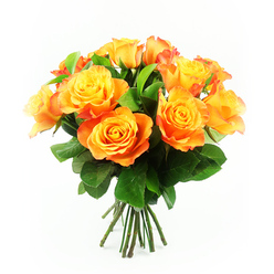 A vibrant cluster of orange and yellow roses is photographed against a pure white backdrop, creating a striking portrait that feels as uplifting as a clear morning walk through Mill Hill Park. The bouquet consists of roughly a dozen roses gathered into a rounded, hand-tied form, with each bloom open enough to display its spiralling structure. At their hearts, the petals begin in a bright, lemon-yellow tone, then gradually deepen into richer shades of apricot and tangerine as they curl outward, finishing in a warm, fiery orange that occasionally carries a faint red-orange blush at the very edge. This gentle gradient, repeated across every flower, gives the arrangement a soft, glowing intensity. Nestled between the blooms, lush, dark green leaves provide a cooling backdrop, their slightly glossy surfaces catching hints of light, adding depth and a natural, garden-like feel reminiscent of the established hedges and lawns seen along Lawrence Street and surrounding roads. The stems, visible just below the blooms, are grouped in a tidy bundle, straight and dark green, showing the clean cut and fresh condition of a bouquet assembled with care by a local Mill Hill florist. With no vase or additional props, the full focus rests on the interplay of warm petals and cool greenery, as well as the domed silhouette that suggests abundance and generosity. This image conveys a sense of joy, encouragement, and heartfelt celebration, ideal for marking milestones in family homes near Mill Hill Broadway, welcoming new neighbours, or simply brightening a quiet evening at home with a flourish of colour.