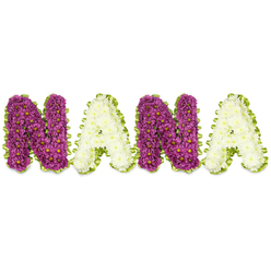 A tender floral composition declares the name "NANA" in bold three-dimensional letters, photographed against a pristine white backdrop so each detail reads clearly. The two N letters are carpeted in sumptuous, deep purple-magenta chrysanthemums, each bloom punctuated by a small yellow centre that adds a discreet sparkle; alternating with them, the two A letters are filled with pure, creamy-white chrysanthemums, their soft petals forming calm, elegant planes. A bright lime-green edging - whether pleated ribbon or finely cut foliage - wraps each letter in a lively frame, the scalloped border providing contrast and a hint of spring freshness. The overall effect is densely textured but refined, the tiny flower heads combining into sculpted typography that feels lovingly assembled by hand. In subdued daylight the white flowers reflect a cool, silvery softness while the purple blooms read as warm and devoted, an appropriate balance for a sympathy tribute intended for funerals, wakes, or family commemorations. There is a subtle, comforting chrysanthemum scent and the tactile impression of plush petals layered like fabric. Created with the kind of precision local families in Mill Hill look for - suitable for delivery to nearby chapels, community halls on The Broadway, or private homes - this personalised memorial piece conveys deep respect and a tender, very personal farewell to a beloved grandmother.