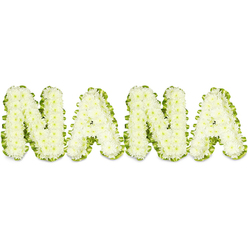 A tender, hand-crafted memorial reads "NANA" in four bold letters, each formed from densely packed white chrysanthemums that create a soft, cloud-like volume with a delicate, tactile surface. The tiny, rounded blooms sit so close together that the letters take on a sculptural solidity, their edges softened by the natural curvature of the petals. Around each character a vivid green trim-either glossy foliage or a neatly folded satin ribbon-outlines and defines the shape, the verdant colour providing a fresh, life-affirming contrast to the immaculate white faces of the chrysanthemums. The composition sits against a clean white backdrop under even, gentle light that highlights the depth of the arrangement and the subtle shadows between individual florets. There is a mild, comforting green-floral scent that suggests the flowers are recently prepared and well hydrated. Intended as a sympathy tribute for a beloved grandmother, the piece conveys a quiet dignity and a warming sense of presence that reaches out to bereaved family and friends. It is the kind of arrangement families around The Ridgeway and Mill Hill Park might choose for a funeral service or chapel visit - straightforward, heartfelt, and easy to read from a distance. The craftsmanship feels personal and skillful, the floral density and neat green edging showing the attention of an experienced local florist who understands how to balance readability with softness and how to translate love into floral form.