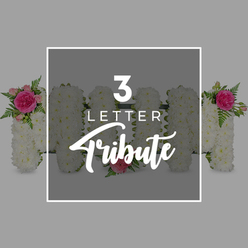A calm grey backdrop provides a respectful setting for this three-letter funeral flower tribute that spells "MOM," reminiscent of the personalised designs created for Mill Hill families. Each letter is formed from a dense blanket of white chrysanthemums, their closely packed, finely frilled petals giving the arrangement a soft, quilted appearance that invites a sense of touch and comfort. The first "M" carries a heartfelt accent at the upper left corner: a vivid fuchsia garden rose nestled among lighter pink rosebuds and airy green fern fronds, adding movement and a tender flush of colour. The central "O" stands almost entirely white and unadorned, save for one single blush-pink rose resting at its lower edge, a gentle, symbolic gesture of remembrance. On the last "M," a matching cluster of fuchsia rose, pale buds, and fern sits at the upper right, balancing the design so that colour and foliage frame the tribute from either side. Over the centre, a crisp white rectangular border is laid, within which the words "3 LETTER" appear in a modern uppercase font, while the word "Tribute" flows below in elegant script, identifying the tribute style with quiet clarity. At the outer edges of the composition, partial glimpses of more chrysanthemum letters appear, also trimmed with pink roses and green fern, hinting at further customisations such as names or meaningful words. Altogether, the scene conveys a sense of calm love and dignified farewell, reflecting the kind of carefully arranged funeral flowers sent to services in Mill Hill, near local churches or along the streets around Mill Hill Broadway and Bittacy Hill.