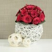 A beautifully composed wedding-style table arrangement occupies the centre of the image, with a compact dome of red roses rising gracefully from a distinctive woven vase. The roses are tightly massed together so that their velvety petals create a continuous landscape of deep crimson, ranging from almost burgundy in the shadows to brighter, cherry-red where the light catches the edges. Some blooms remain partially closed, offering a hint of promise, while others are more open, their spiralling petals creating soft, romantic curves. Between the roses, small clusters of red Hypericum berries appear like tiny, polished beads, their rounded shapes and glossy finish adding a playful lift and textural contrast. At the base of the blooms, a narrow ring of rich green leaves is just visible, supporting the bouquet and framing it with a natural, grounding note. The arrangement is nestled into a spherical vase made from white-painted twigs or wicker, woven into an airy openwork pattern that feels both artisan and contemporary. Gaps between the branches allow slivers of light to pass through, casting subtle shadows onto the white tabletop beneath. To the left of the main composition, two decorative wicker spheres in pale, natural wood tones lie on the same bright surface; the larger ball leans a little nearer to the viewer, while the smaller one sits slightly behind, gently balancing the scene and echoing the curved, woven structure of the vase. The background fades into a soft blur of neutral beige or taupe, similar to the calm, understated décor in many Mill Hill homes and wedding venues near The Ridgeway. Overall, the image conveys a mood of refined romance and quiet celebration, perfectly suited to a wedding reception table or intimate dinner in this tranquil North London neighbourhood, with Flowers Mill Hill crafting each element with care.