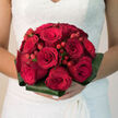 In this image, a hand-crafted wedding bouquet of deep red roses and matching red hypericum berries radiates classic romance with a contemporary edge, the sort of piece you might see carried through Mill Hill's tree-lined streets toward a church or registry office. The bouquet is tightly composed, forming a neat, rounded dome of flowers where each rose is given space to show off its full, layered form. The petals are a rich, indulgent crimson, velvety to the eye, with the outer layers curving back slightly and the inner whorls spiralling inward, creating dark, inviting centres. Scattered among the roses are clusters of small, shiny berries in a similarly intense red, their surface smooth and reflective, offering tiny points of brightness and a slightly playful contrast to the softness of the petals. The arrangement is framed by a collar of broad aspidistra leaves, folded around the base in strong, sweeping curves of deep jade green. Their firm, glossy texture introduces a structured element that keeps the bouquet feeling refined and modern, rather than overly traditional. Soft, even lighting washes across the flowers, much like the gentle daylight that filters through Mill Hill gardens, highlighting the shapes and textures without overwhelming them. Though the stems are mostly hidden, it's easy to imagine them gathered closely, cool and substantial in the hand, bound with care to sit comfortably as they are carried. This bouquet suggests celebration, promise, and heartfelt emotion, a red rose bridal design that would look equally at home in an intimate Mill Hill ceremony or a larger reception overlooking the green spaces nearby.